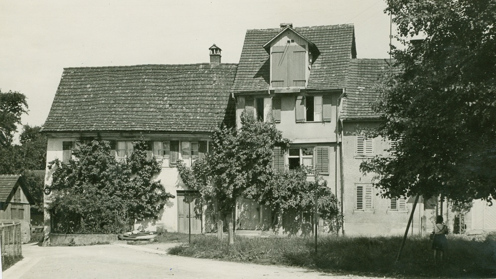 kehlhof2
